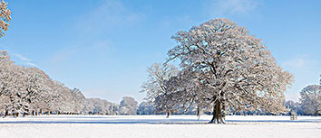 欢迎在宝塔面板安装Z-BlogPHP！